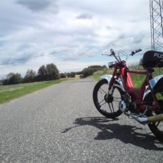 Puch Maxi @ Candy Red