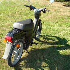 Honda Wallaroo