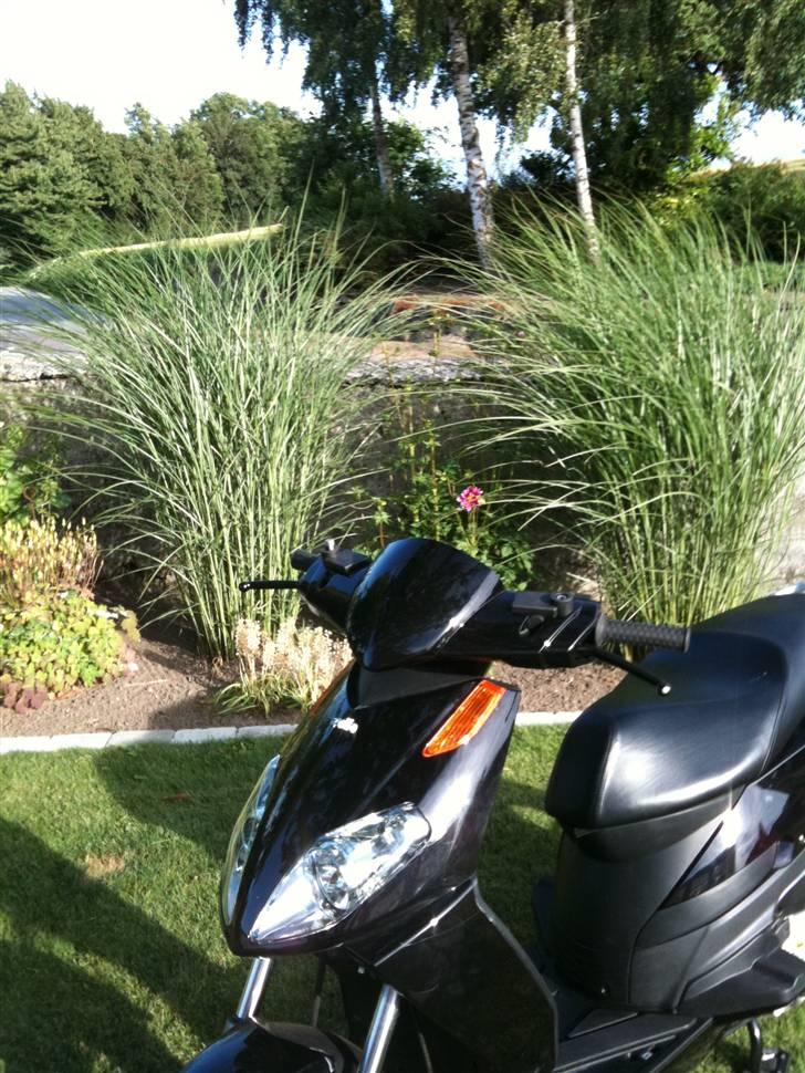 Aprilia SportCity One  billede 16