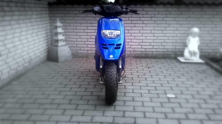 Piaggio Typhoon  SOLGT billede 4