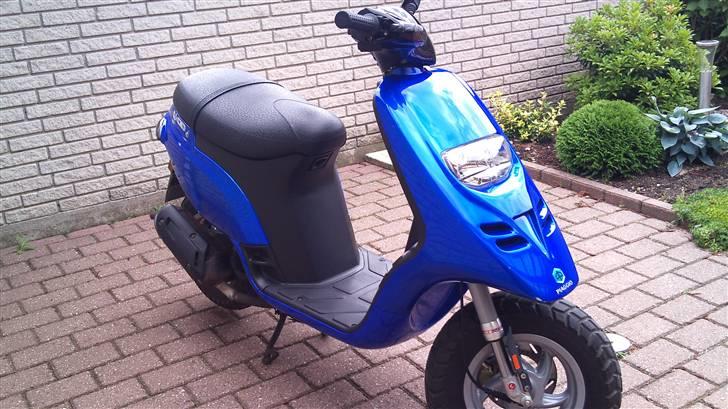 Piaggio Typhoon  SOLGT billede 9