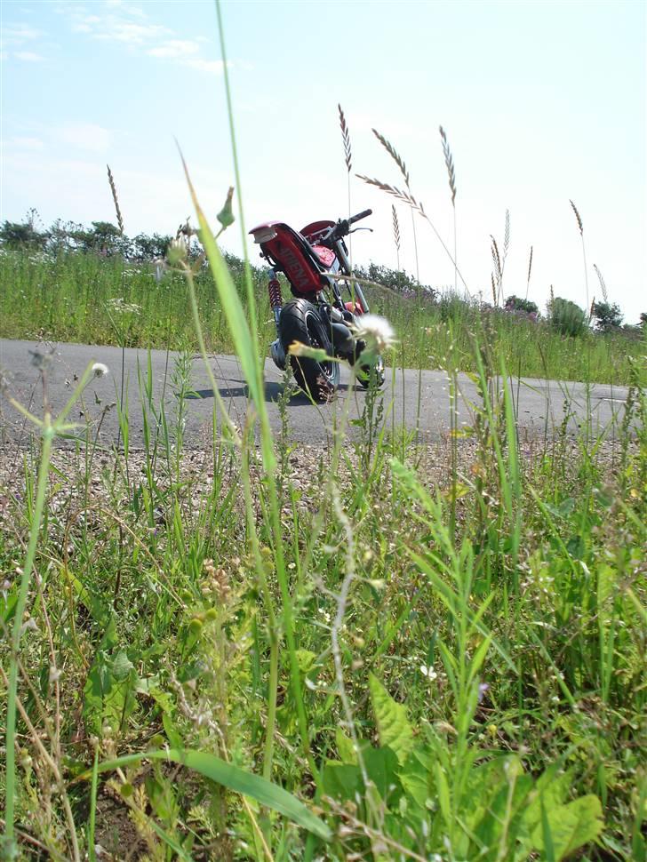 Suzuki Street Magic billede 3