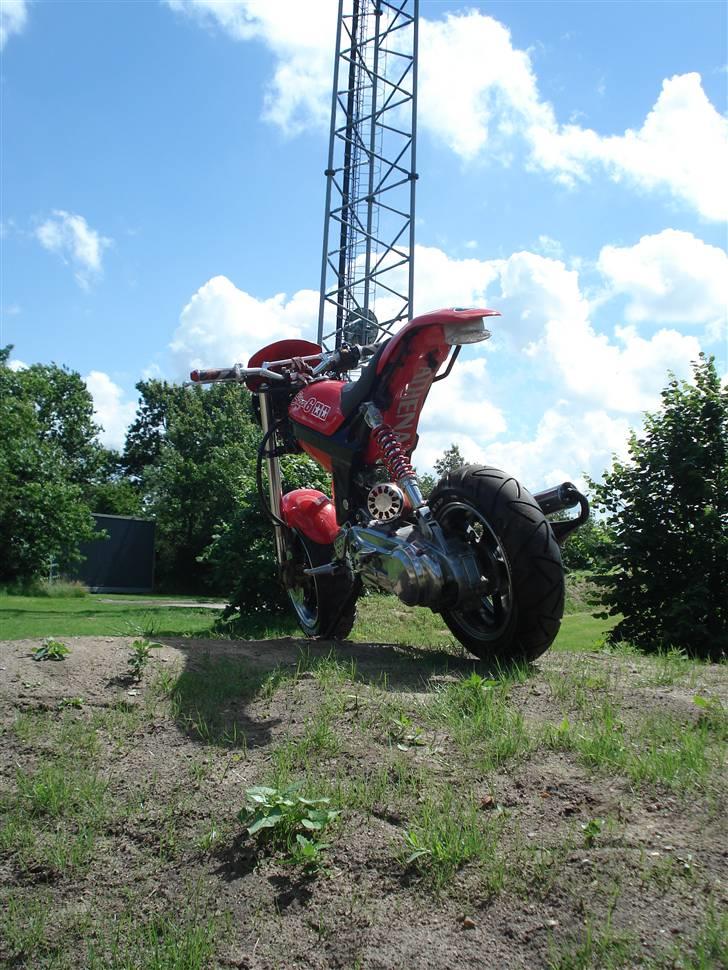 Suzuki Street Magic billede 13