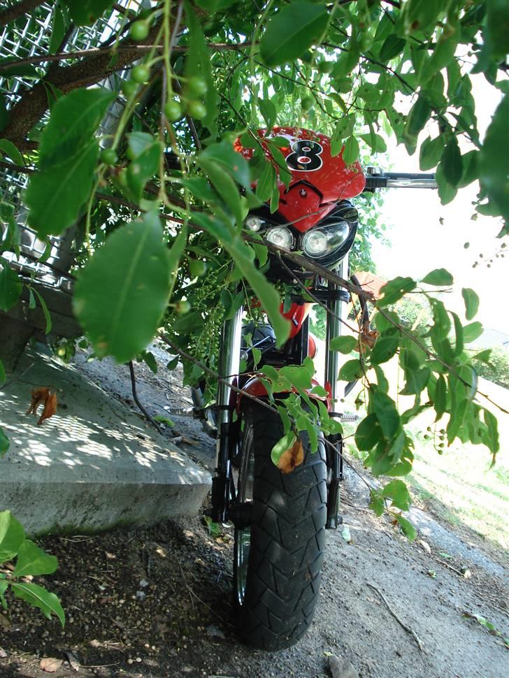 Suzuki Street Magic - Ninja! billede 14