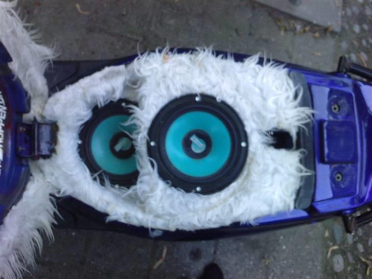 PGO Hot 50 byttet til pbr billede 13