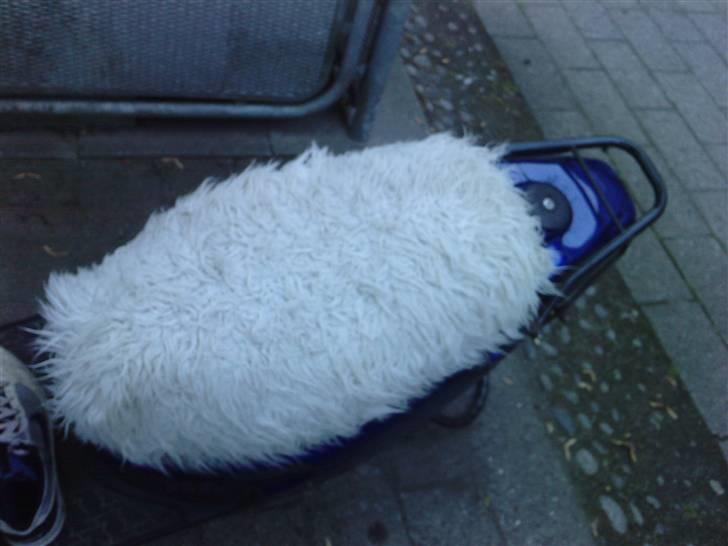 PGO Hot 50 byttet til pbr billede 14