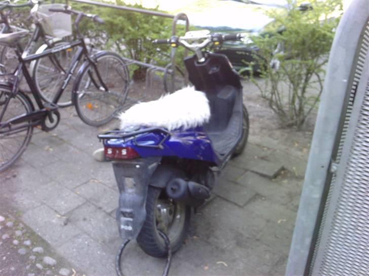 PGO Hot 50 byttet til pbr billede 15