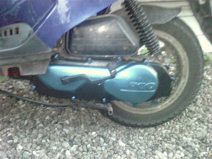 PGO Hot 50 byttet til pbr billede 17