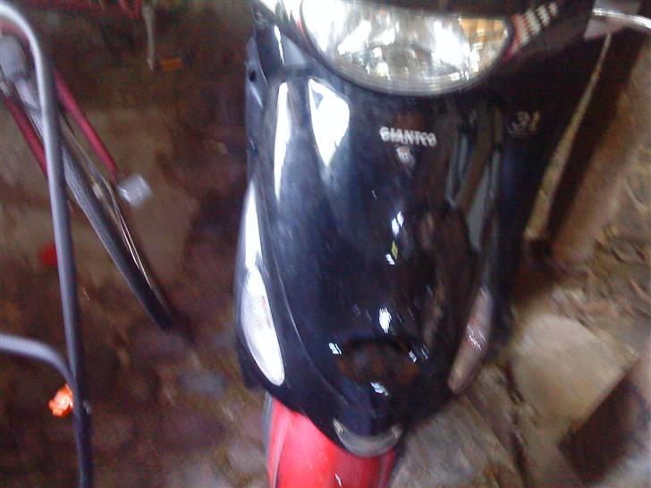 Giantco Sprint Sport billede 5