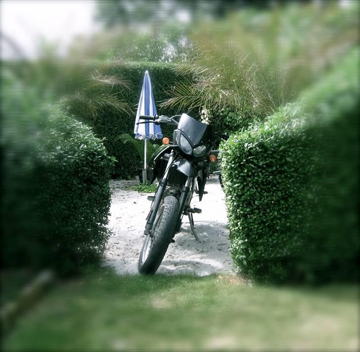 Gilera SMT Solgt billede 11