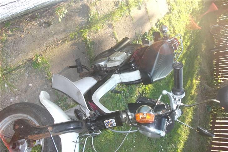 Suzuki fz50 billede 6