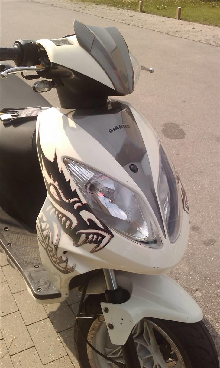 Giantco Spartan billede 1