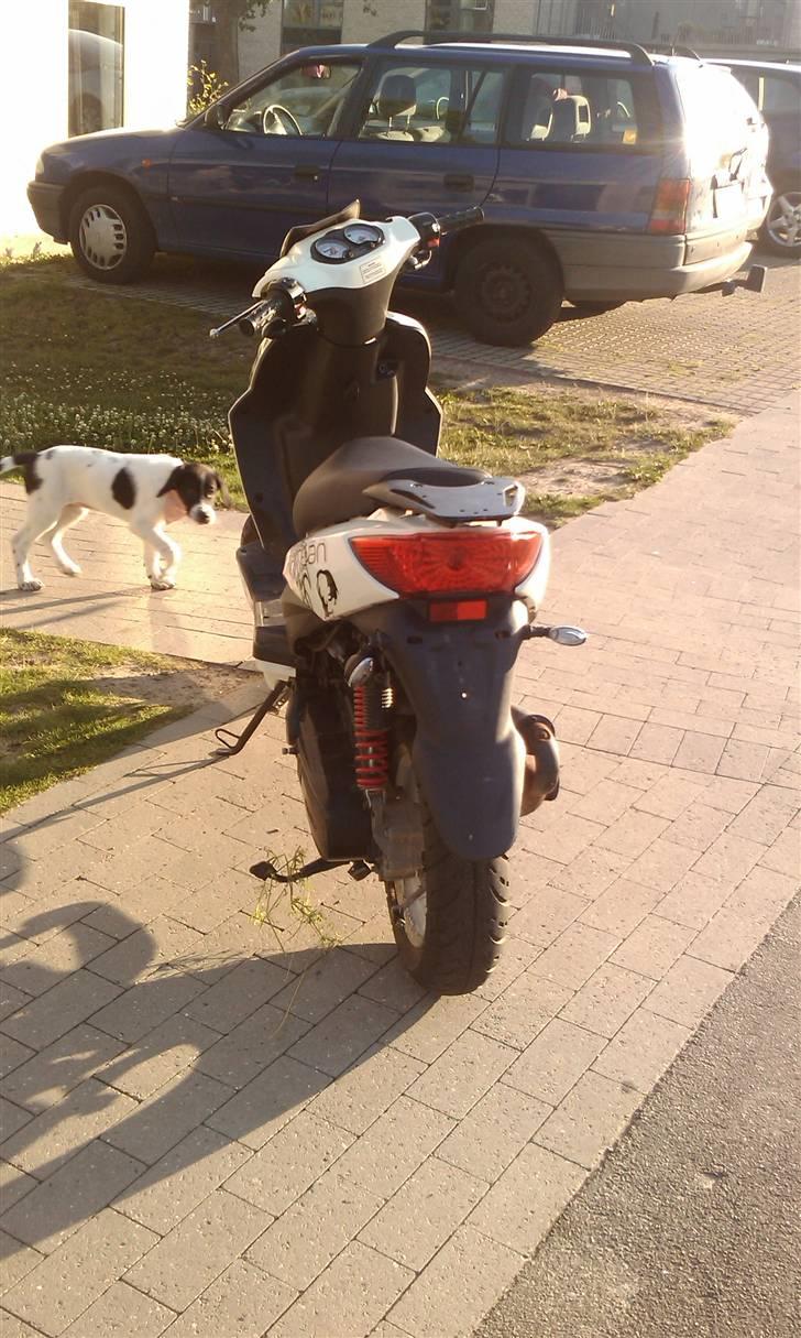 Giantco Spartan billede 4