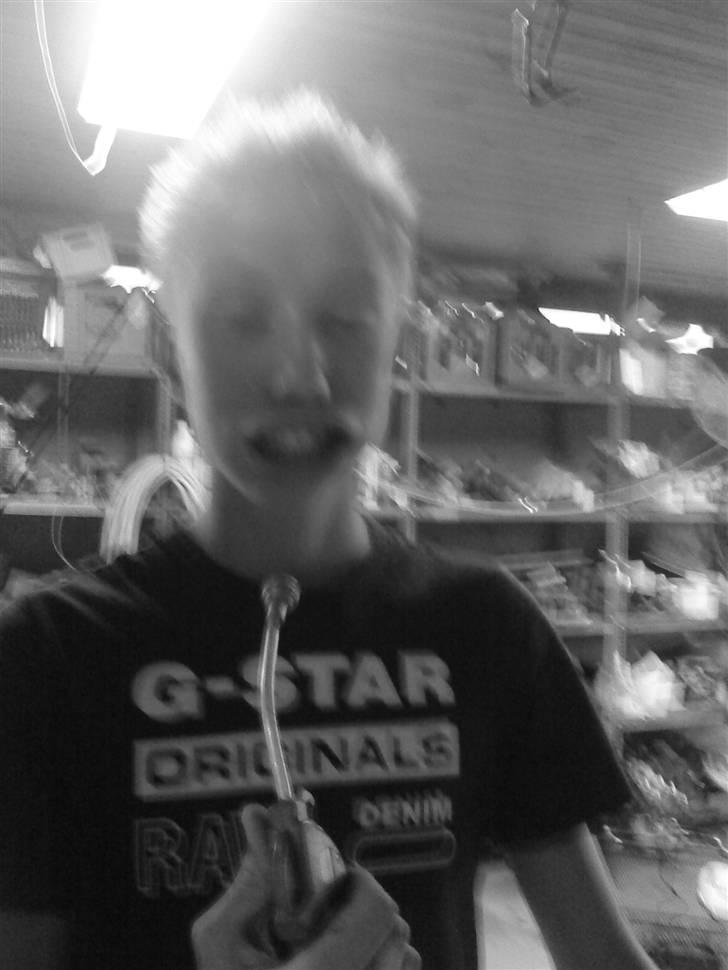 Honda sfx(-byttet-) til stalker billede 5