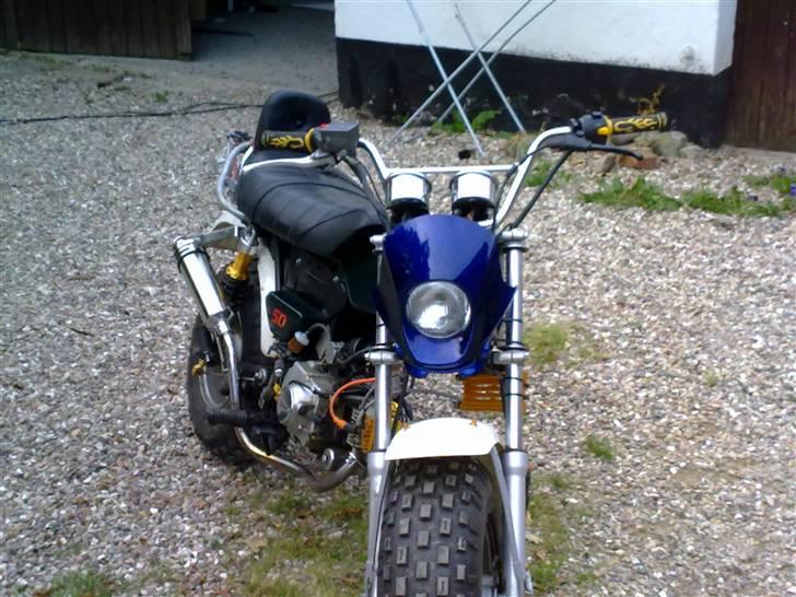 Skyteam t,rex 50,ccm billede 18