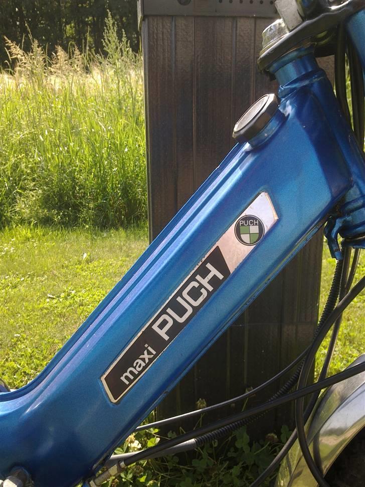 Puch Maxi P / Solgt / billede 6