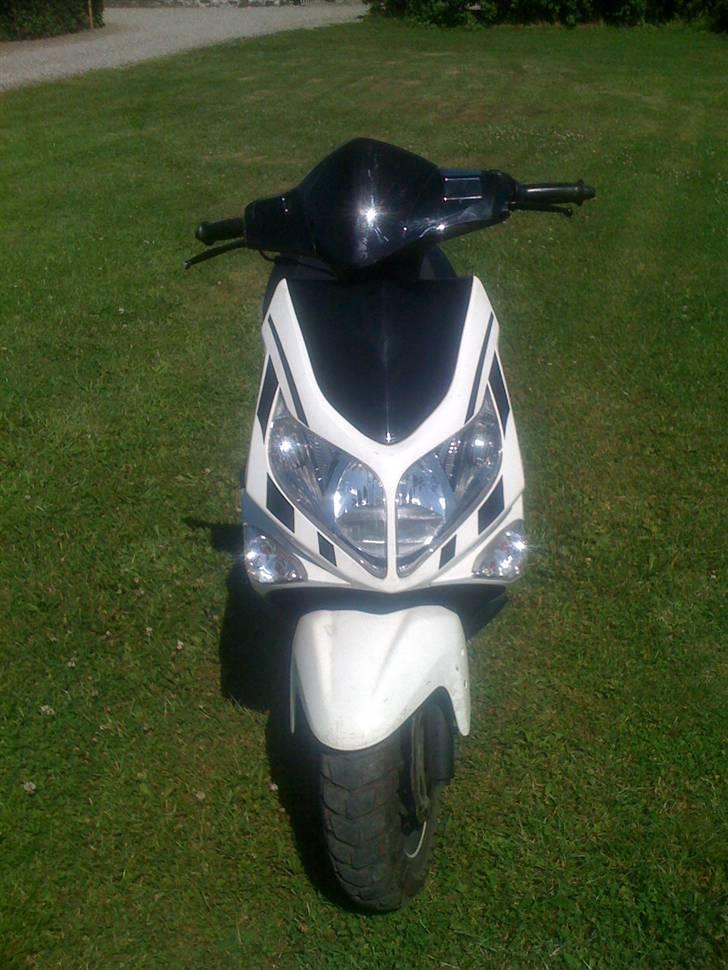 PGO G-MAX billede 10