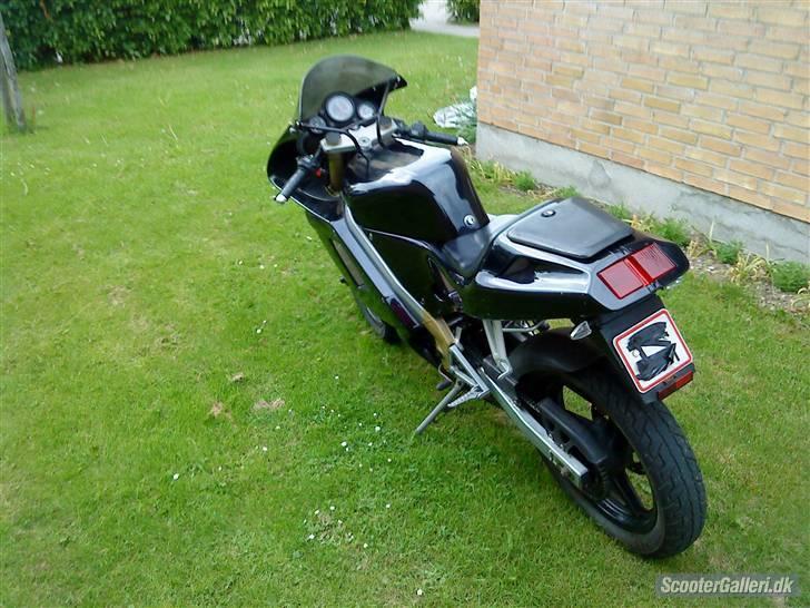 Cagiva Mito 50 #BYTTET# billede 5