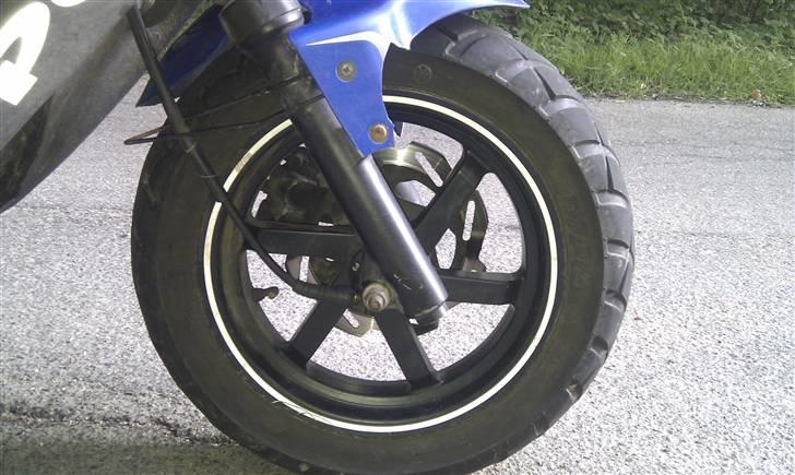 PGO Hot50 SP | R-Setup billede 5