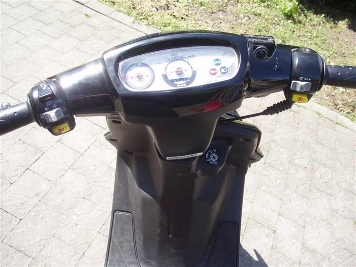 PGO hot 50(taget af politiet) billede 2