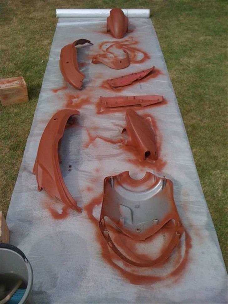 Daelim S-five (SOLGT) - så er skjoldene blevet grundet, i rød/brun grunder? ja, så har man også prøvet det! :D billede 8