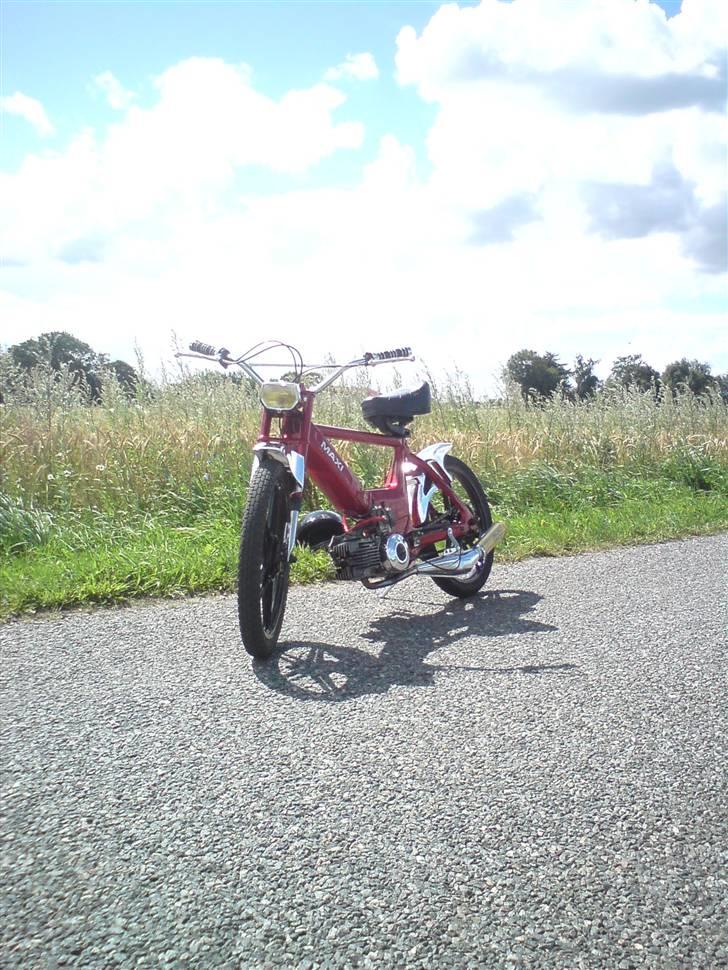 Puch Maxi @ Candy Red billede 2