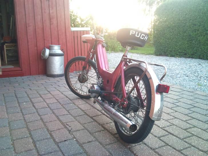 Puch Maxi K  billede 11