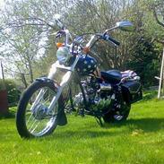 Regal Raptor 50QE (SOLGT)