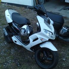 Peugeot speedfight 2 byttet