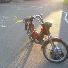 Puch Maxi p1 - SOLGT