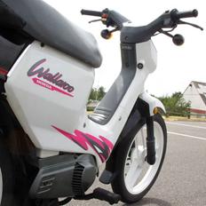 Honda wallaroo