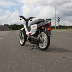 Honda wallaroo
