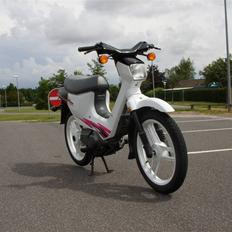 Honda wallaroo