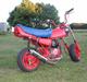 Honda cy 50 (bSOLGT)