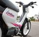 Honda wallaroo
