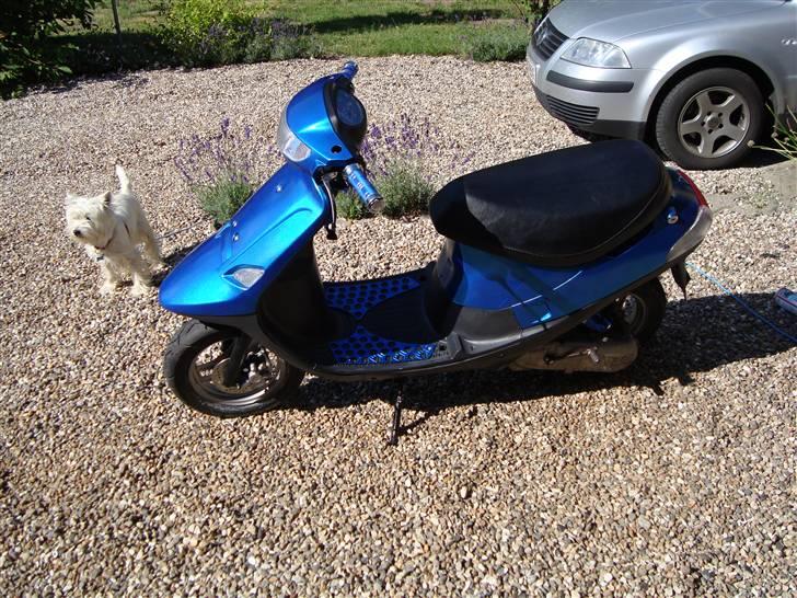 PGO Min Dejlige Comet  billede 16