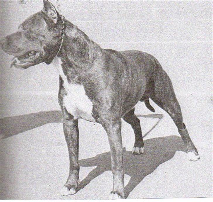 Yamaha Jog Space!! Solgt billede 5