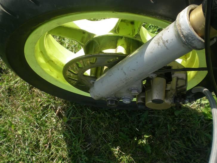 Honda Dax-ter!! billede 11