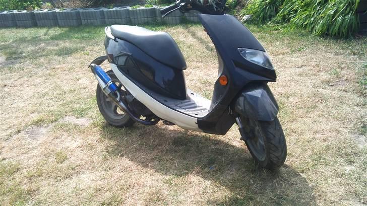 Suzuki estilite billede 1