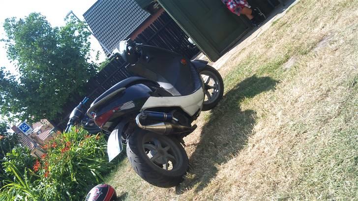 Suzuki estilite billede 2