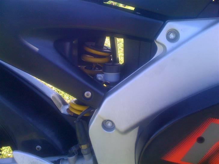 Aprilia RS50 billede 12