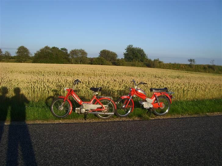 Puch Maxi K/Københavneren - Sammen med dens storebror, Puch ms50 3gear billede 2