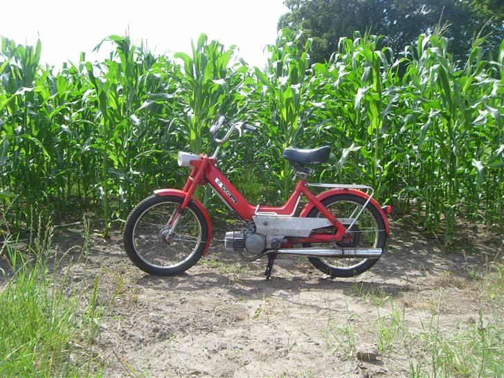 Puch Maxi K/Københavneren billede 3