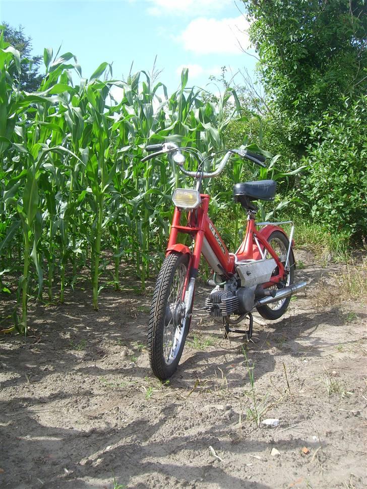 Puch Maxi K/Københavneren billede 4