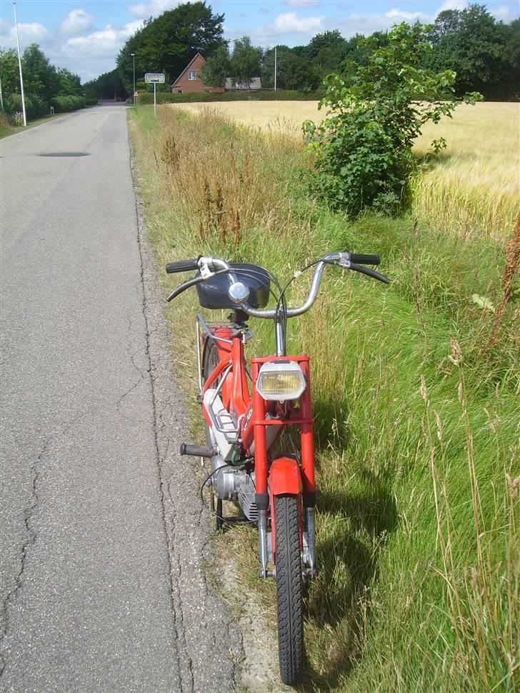 Puch Maxi K/Københavneren billede 8