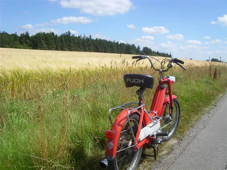 Puch Maxi K/Københavneren billede 9