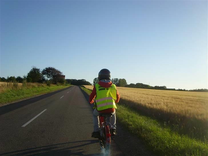 Puch Maxi K/Københavneren - Min bror på maxien ;) billede 10