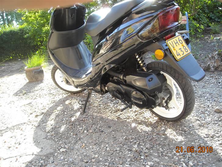 Giantco Sprint sport (solgt) billede 4