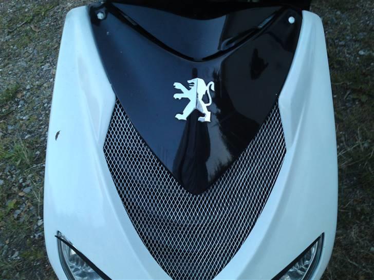 Peugeot speedfight 2 byttet billede 10