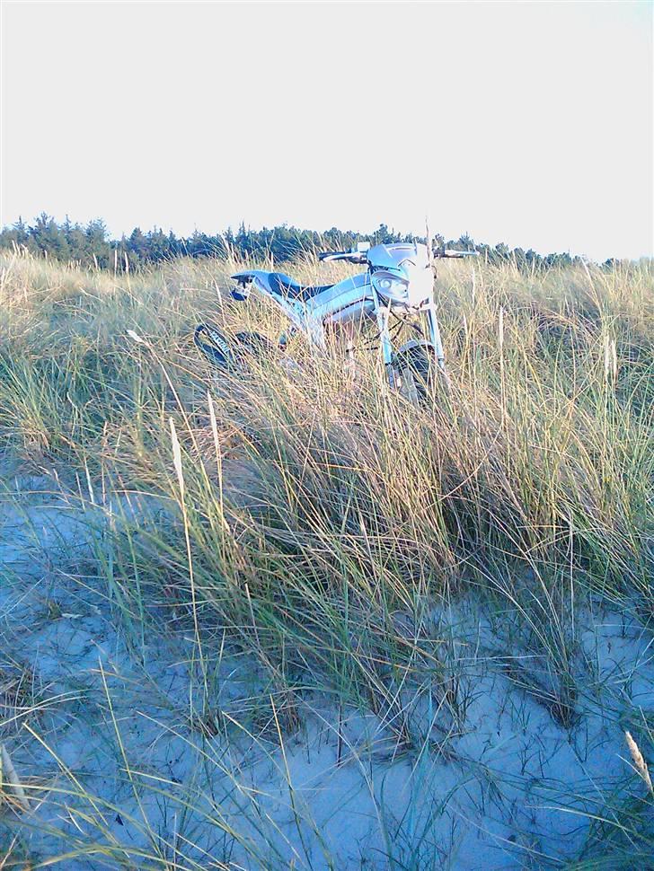 Suzuki street magic :* solgt billede 1